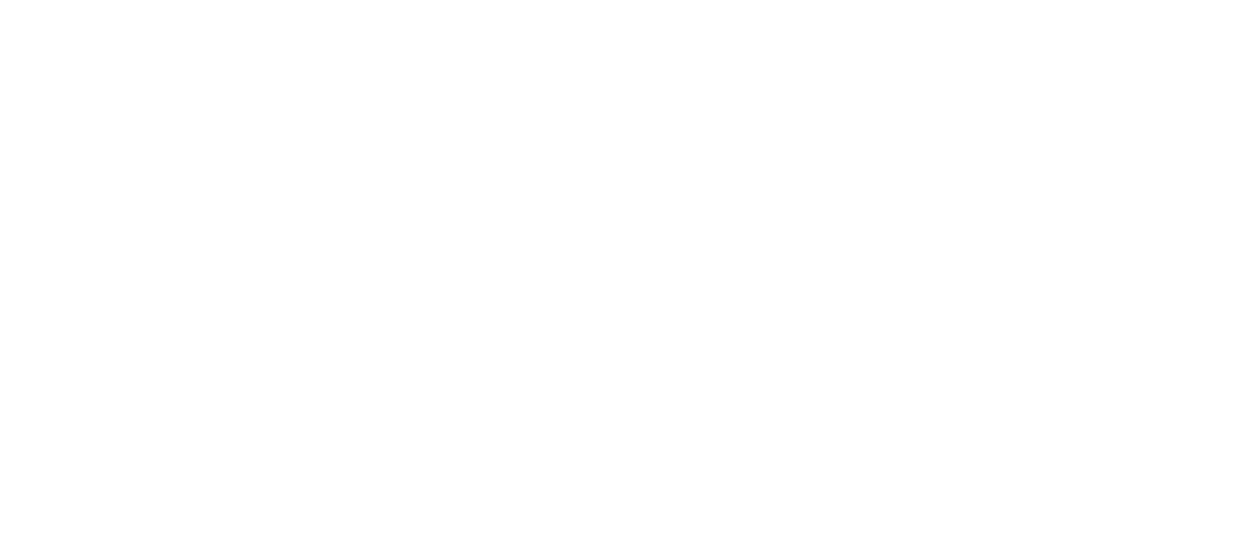 mobile app development boise